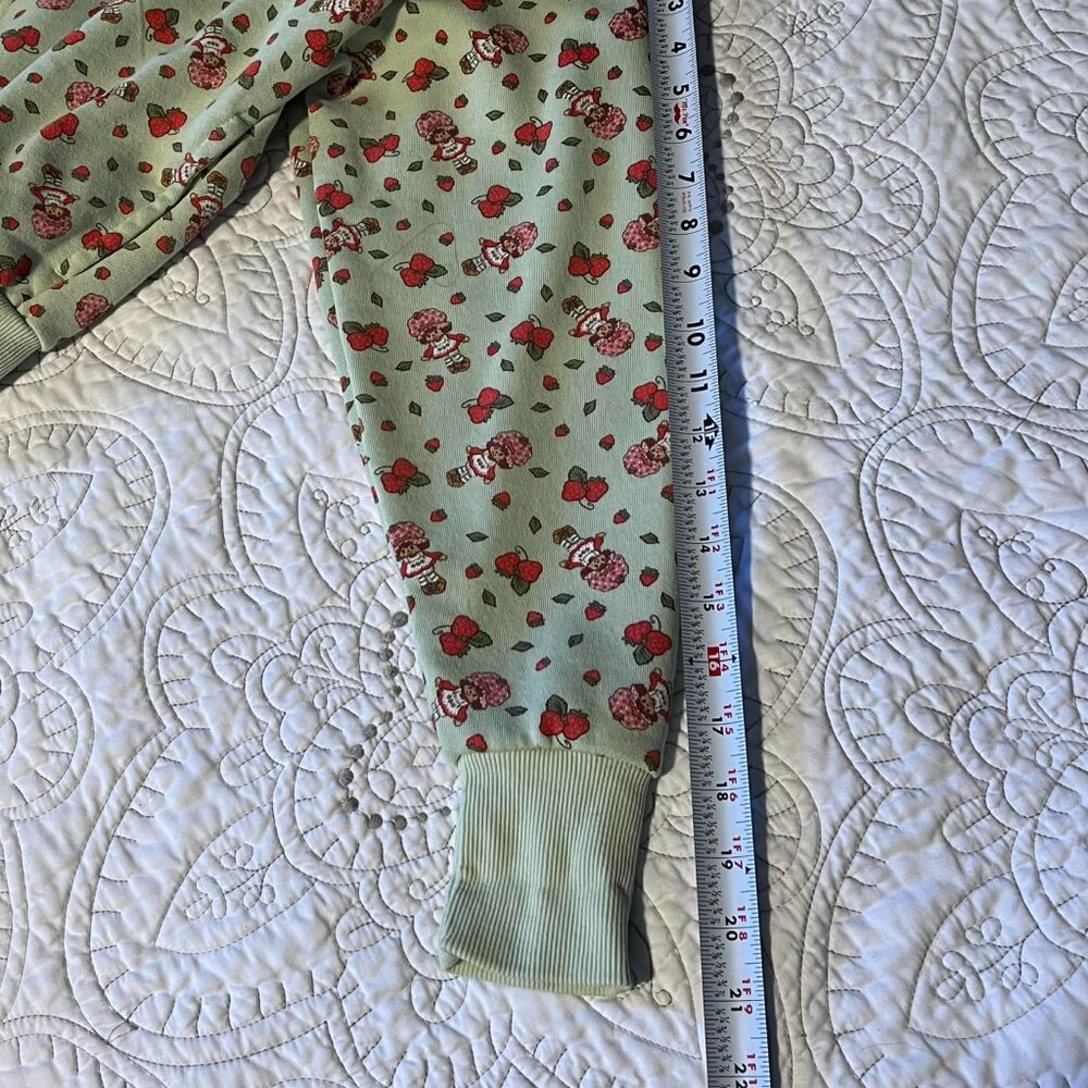 Strawberry Shortcake Cropped Full Zip Hoodie Light Green Size M - Picture 7 of 13